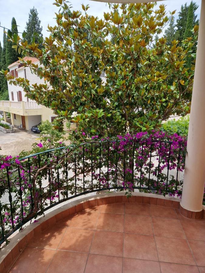 Villa Lukic Apartments Slano Exterior photo
